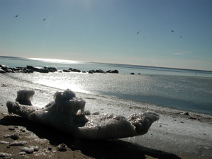 Beach in winter